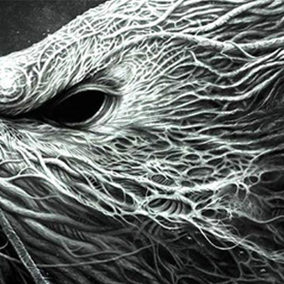 在线手机号接收